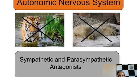 Thumbnail for Unit 5 PPT Lecture