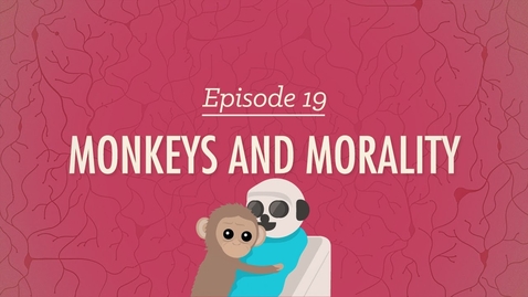 Thumbnail for Attachment and Kohlberg's Theory of Moral Development: Crash Course Psychology #19