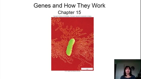 Thumbnail for Obj. 1.mp4