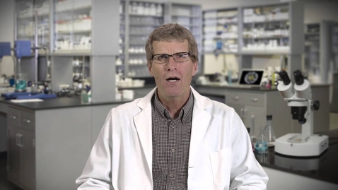 Thumbnail for Germ Theory Part 1