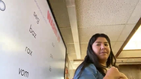 Thumbnail for Video observation 1