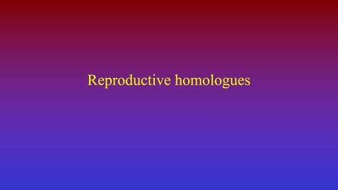 Thumbnail for entry Reproductive homologues movie