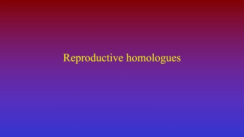 Thumbnail for Reproductive homologues movie
