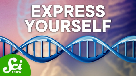 Thumbnail for HTHS 1110 F06-03c: Epigenetics Video with Questions