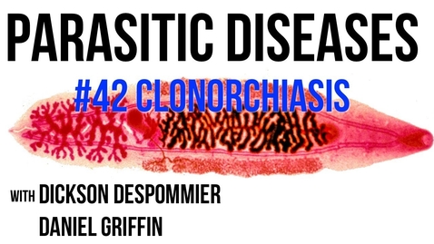 Thumbnail for entry Parasitic Diseases Lectures #42: Clonorchiasis - Quiz