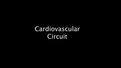 Thumbnail for entry Cardiovascular Circuit