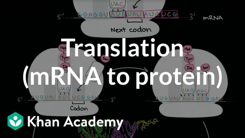 Thumbnail for HTHS 1110 F06-04b: Translation Video with Questions