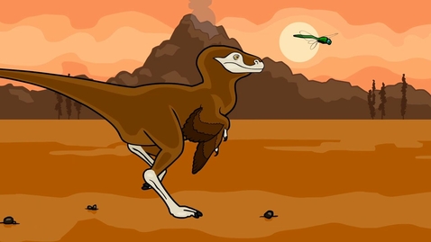 Thumbnail for The Origin of Flight--What Use is Half a Wing? | HHMI BioInteractive Video