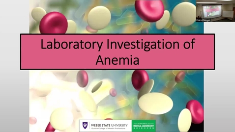 Thumbnail for 2 Laboratory Investigation of Anemia 2025