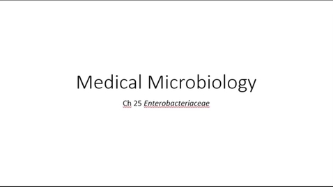 Thumbnail for Chapter 25 - Enterobacteriaceae