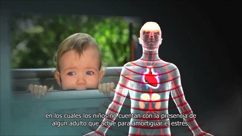 Thumbnail for 3. El Estrés Tóxico Perjudica el Desarrollo Saludable