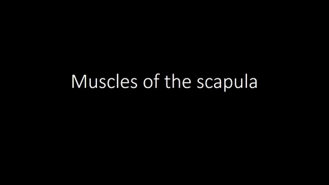 Thumbnail for entry Muscles of the scapula