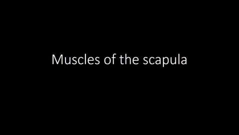 Thumbnail for Muscles of the scapula