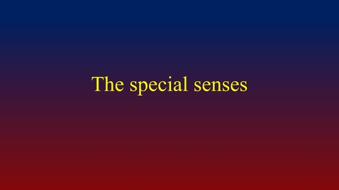 Thumbnail for Special Senses (vid lecture)
