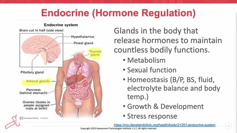 Thumbnail for Unit 14 Recorded Lecture Part 2 Hypo/Hyperthyroidism