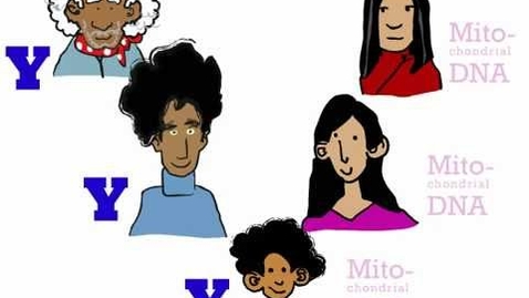 Thumbnail for Genetics 101 (Part 3 of 5): Where do your genes come from?