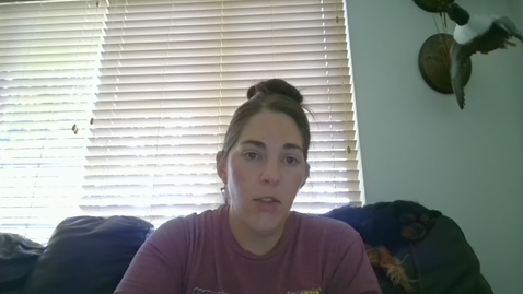 Thumbnail for Video Recording - Mon Jul 14 2025 17:05:37 GMT-0600 (Mountain Daylight Time)