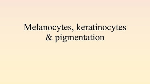 Thumbnail for entry Melanocytes &amp; UV