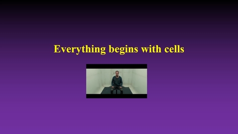 Thumbnail for entry Cells (interlinked)