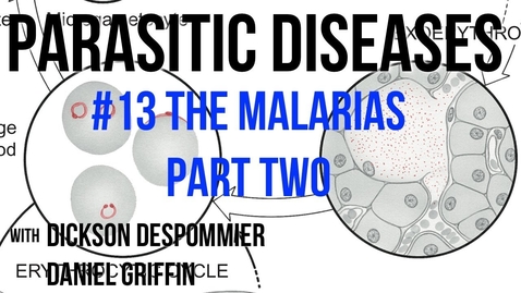 Thumbnail for entry Parasitic Diseases Lectures #13: The Malarias, Part Two - Quiz