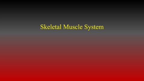 Thumbnail for entry Skeletal Muscles hybrid.mp4
