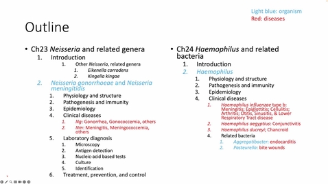 Thumbnail for Ch 23&amp;24 Neisseria and Haemophilus
