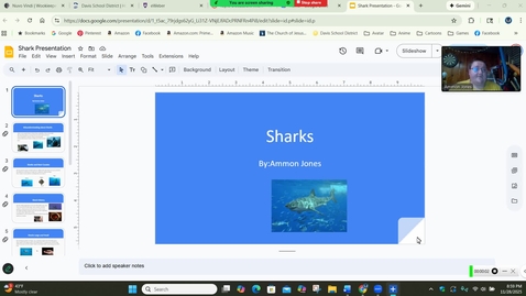 Thumbnail for Shark Lesson