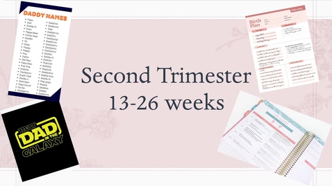 Thumbnail for NRSG6250LowryRSecondTrimester10_2_25