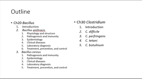 Thumbnail for Chapter 30 - Clostridium