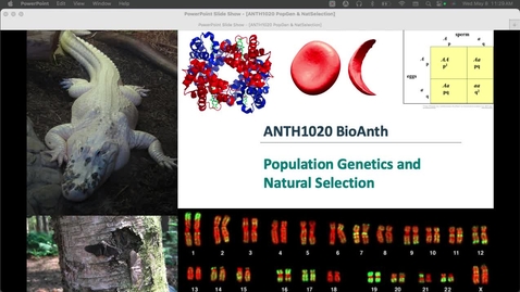 Thumbnail for ANTH1020 PopGen &amp; Natural Selection
