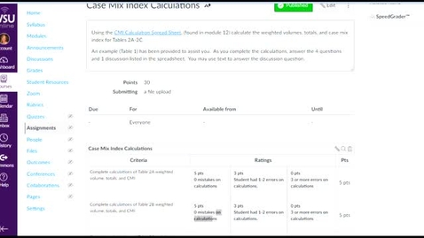 Thumbnail for Case Mix Index Instructions
