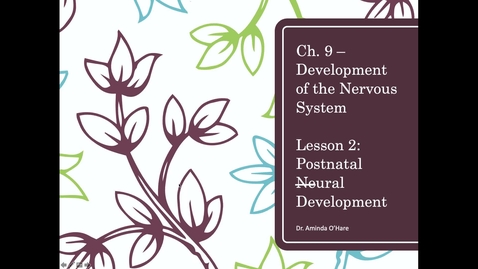 Thumbnail for PSY 2710: Ch. 9 - Lesson 2