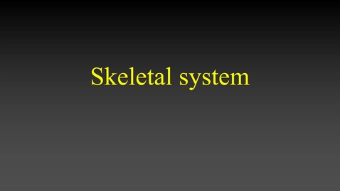 Thumbnail for entry Skeletal system (lecture).mp4