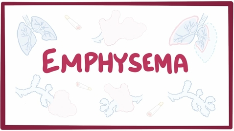 Thumbnail for HTHS 2231 Pathology of the Respiratory System F3:Emphysema (chronic obstructive pulmonary disease) Video With Questions