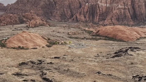 Thumbnail for what’s in my backyard