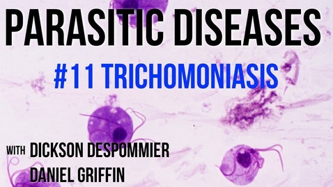 Thumbnail for entry Parasitic Diseases Lectures #11: Trichomoniasis - Quiz