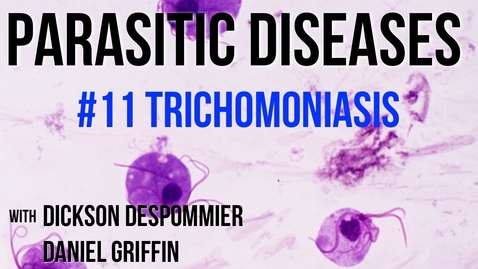 Thumbnail for Parasitic Diseases Lectures #11: Trichomoniasis - Quiz