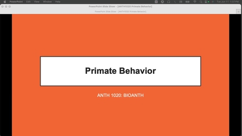 Thumbnail for ANTH1020 PRIMATE BEHAVIOR