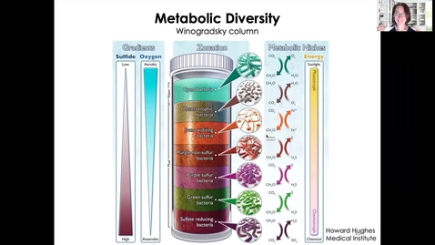 Thumbnail for entry MICR1153_Wk3_Metabolism_2_Twing.mp4