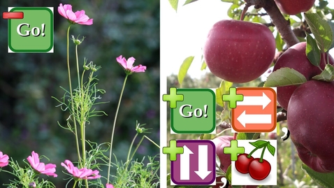 Thumbnail for Cheat Codes for Plants: Plant Growth Hormones