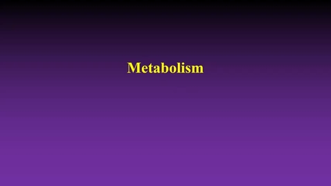 Thumbnail for Metabolism (lecture)