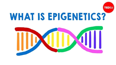 Thumbnail for What is epigenetics? - Carlos Guerrero-Bosagna