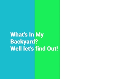 Thumbnail for What's In My Backyard (1).mp4