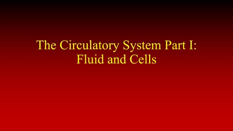 Thumbnail for entry The Circulatory System Part I (lecture)