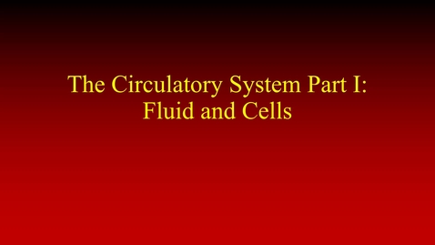 Thumbnail for The Circulatory System Part I (lecture)