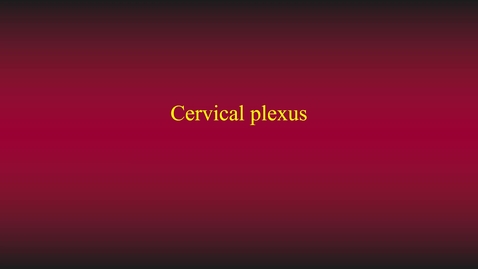 Thumbnail for entry Cervical plexus (phrenic nerve)