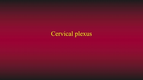 Thumbnail for Cervical plexus (phrenic nerve)