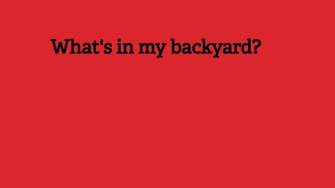 Thumbnail for What's in my Backyard.mp4