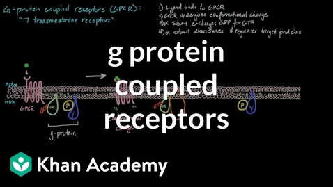 Thumbnail for entry HTHS 1111 F13-12b: G Protein Coupled Receptors In Depth Video with Questions