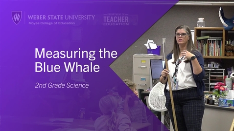 Thumbnail for Measuring the Blue Whale